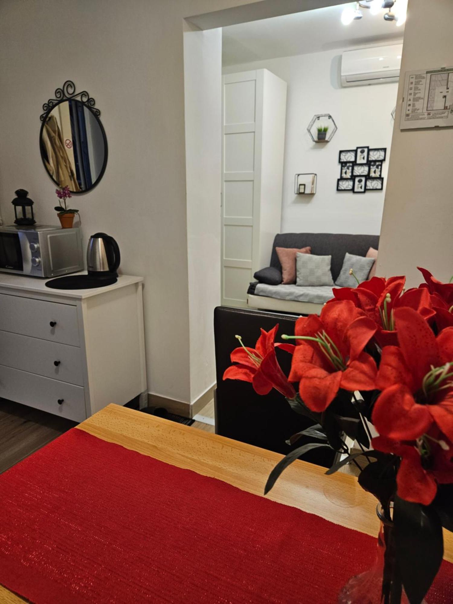 Apartman Maja - Strict Center Of